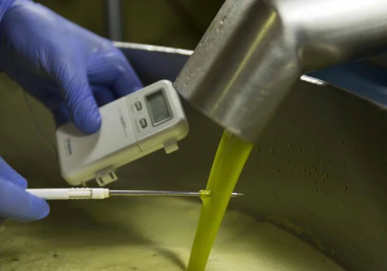 Alerta alimentaria en aceite de oliva: inmovilizados lotes de estas nueve marcas
