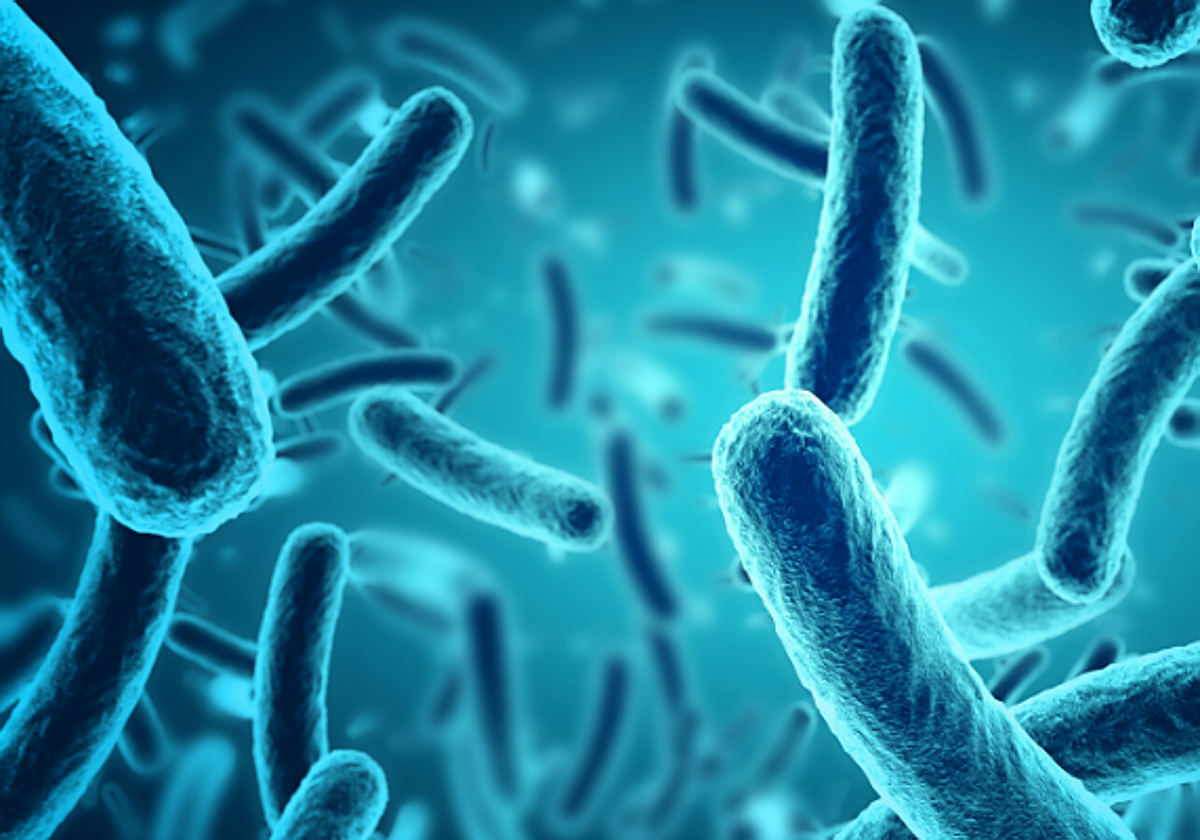 La toxina que provoca el botulismo ataca los nervios del cuerpo y puede causar la muerte