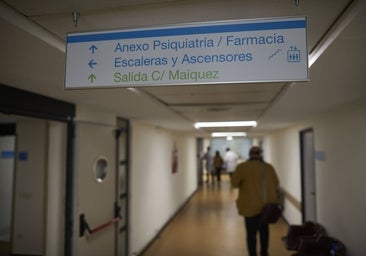 El Defensor del Pueblo avisa de la falta de psiquiatras y reclama más plazas