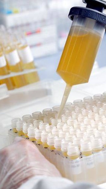 ¿Es posible consolidar el talento científico en España?