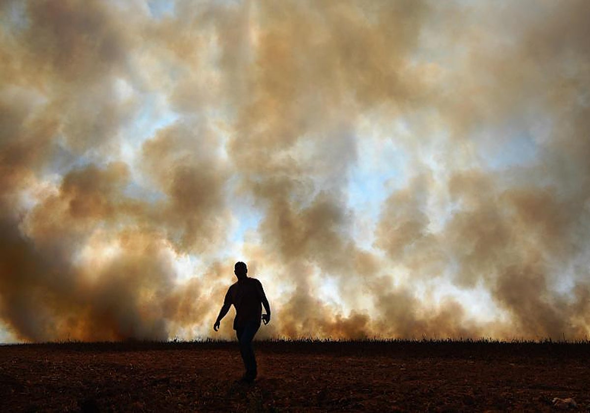 Un hombre lucha contra los incendios en Brasil, 2020