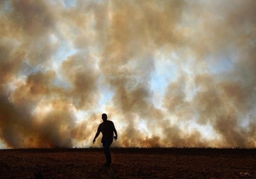 La ONU avisa: para desactivar la 'bomba climática' hay que actuar de inmediato y en todos los sectores