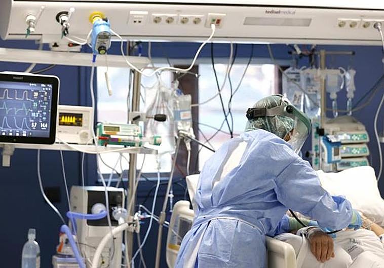 «Alarmante» aumento de infecciones por un hongo en EE.UU. que puede provocar la muerte en 90 días