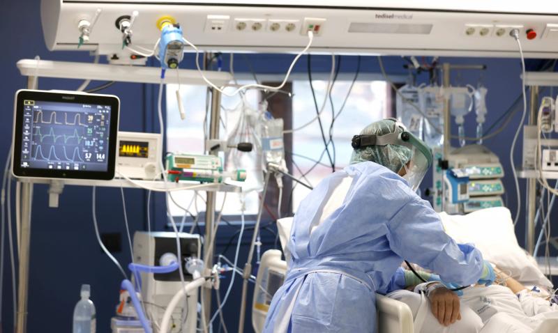 EE.UU.  alertan del “alarmante” aumento de contagios por un hongo mortal en los centros de salud
