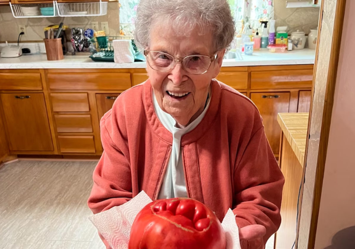 Sybil Gorby planta el mismo linaje de semillas desde hace 58 años