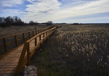 Las Tablas de Daimiel agonizan y a nadie parece importarle