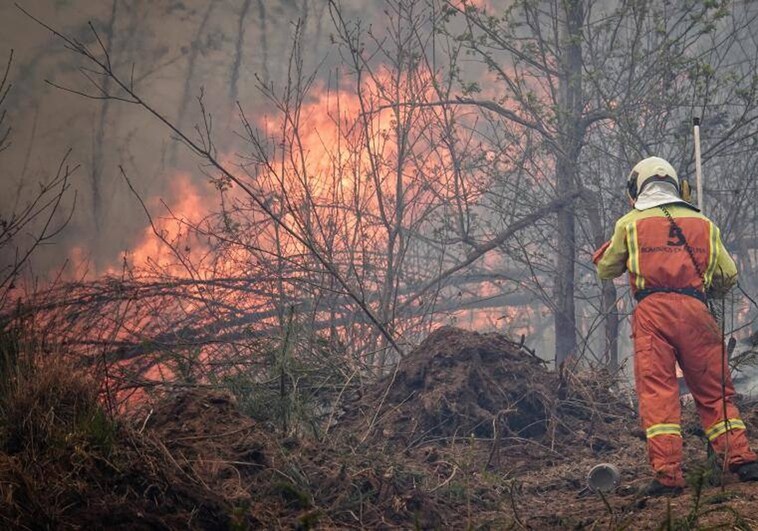 Más de un centenar de incendios arrasan Asturias, en imágenes