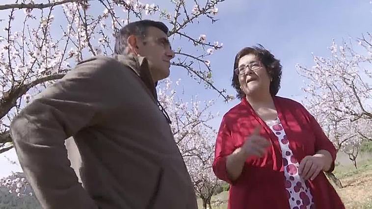 Los almendros de Alcalalí (Alicante) sufren desde hace seis años la plaga de la Xylella