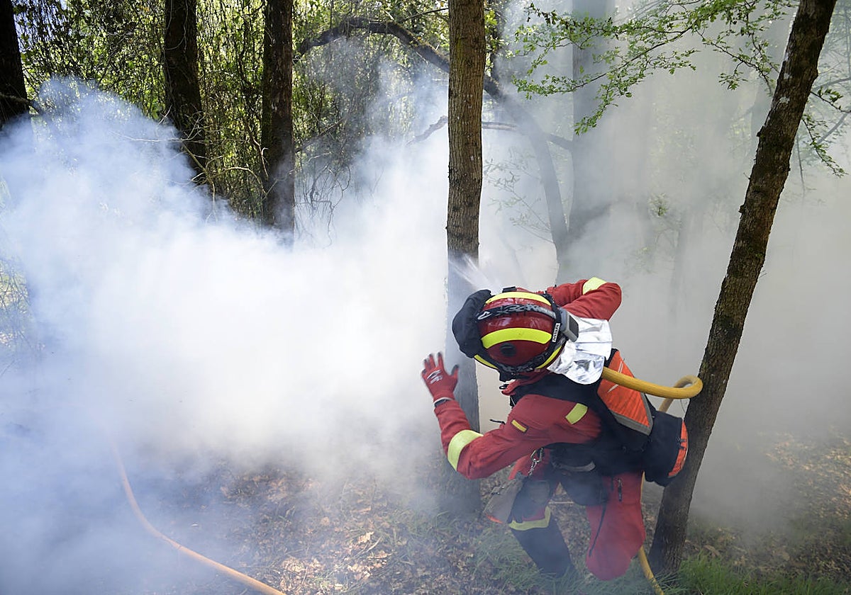 Un bombero participa en las tareas de extinción de los fuegos en Asturias