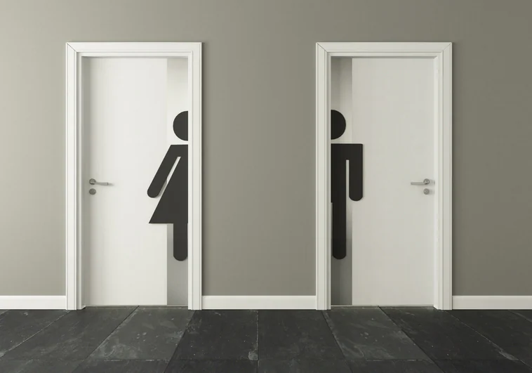 De usar los baños por «género sentido» a denuncias contra padres: así son los protocolos trans en los colegios