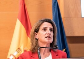 Ribera avisa a Andalucía de que estudiará «cómo trasladar» una posible multa por Doñana «a quien debe»