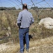 Los regantes reclaman la legalización de cultivos en el entorno de Doñana: «No nos pueden expulsar del paraíso»