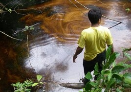 Hallan contaminantes cancerígenos en la población del Amazonas, próxima a explotaciones petroleras