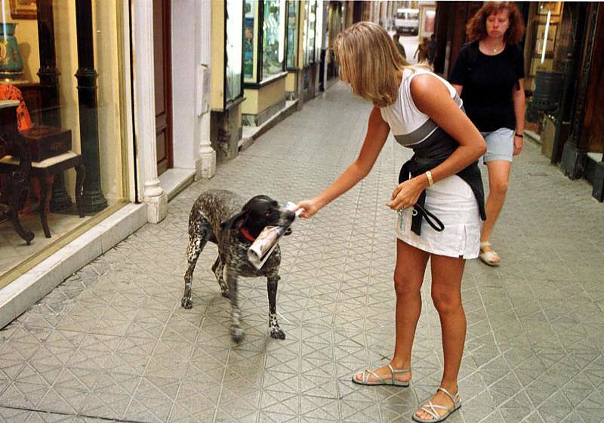 La higiene dental es fundamental para la salud de los perros