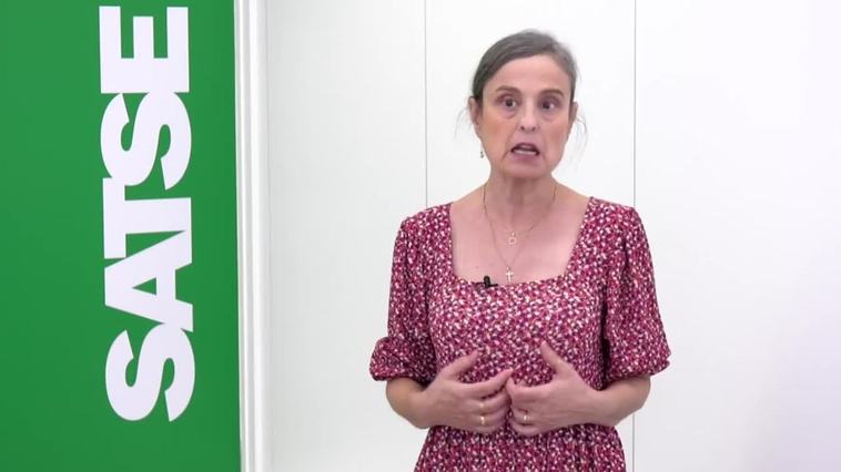 SATSE: "La salud de las personas y nuestra profesión no nos dan igual"