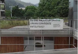 La respuesta del campus del País Vasco a las críticas sobre el cartel: «¿Tú también estás asqueado de oír español en la uni?»