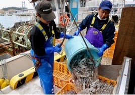 Japón prepara el polémico vertido del agua tratada de Fukushima