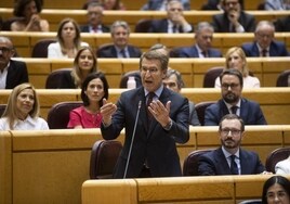 El PP exige a Sánchez parar el desarrollo «apresurado» de la Losu para «no hipotecar el futuro de la universidad»
