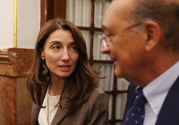 Huida hacia adelante: Llop culpa a las comunidades gobernadas por la derecha del retroceso en la violencia de género