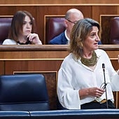 Teresa Ribera defiende la sostenibilidad de la fresa de Huelva y su bajo consumo de agua