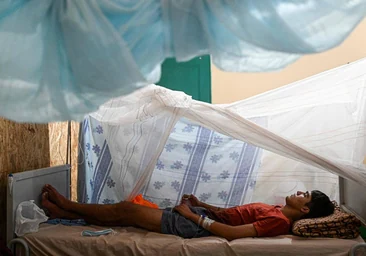 Piura, la ciudad fantasma del dengue: sin colegios y donde los enfermos mueren en 48 horas