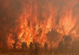La comunidad de incendios forestales avisa: «Los medios de extinción ya no pueden garantizar la seguridad de la sociedad»
