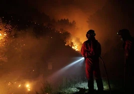 El Defensor del Pueblo reclama más recursos contra los incendios forestales
