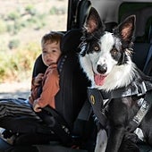 ¿Viajas en coche con tu perro? Cinco consejos a tener en cuenta para su seguridad