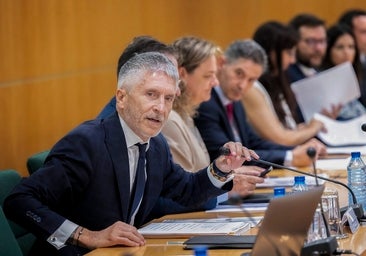 Los delitos de odio crecieron un 3,7% en 2022 y provocaron la detención de 838 personas