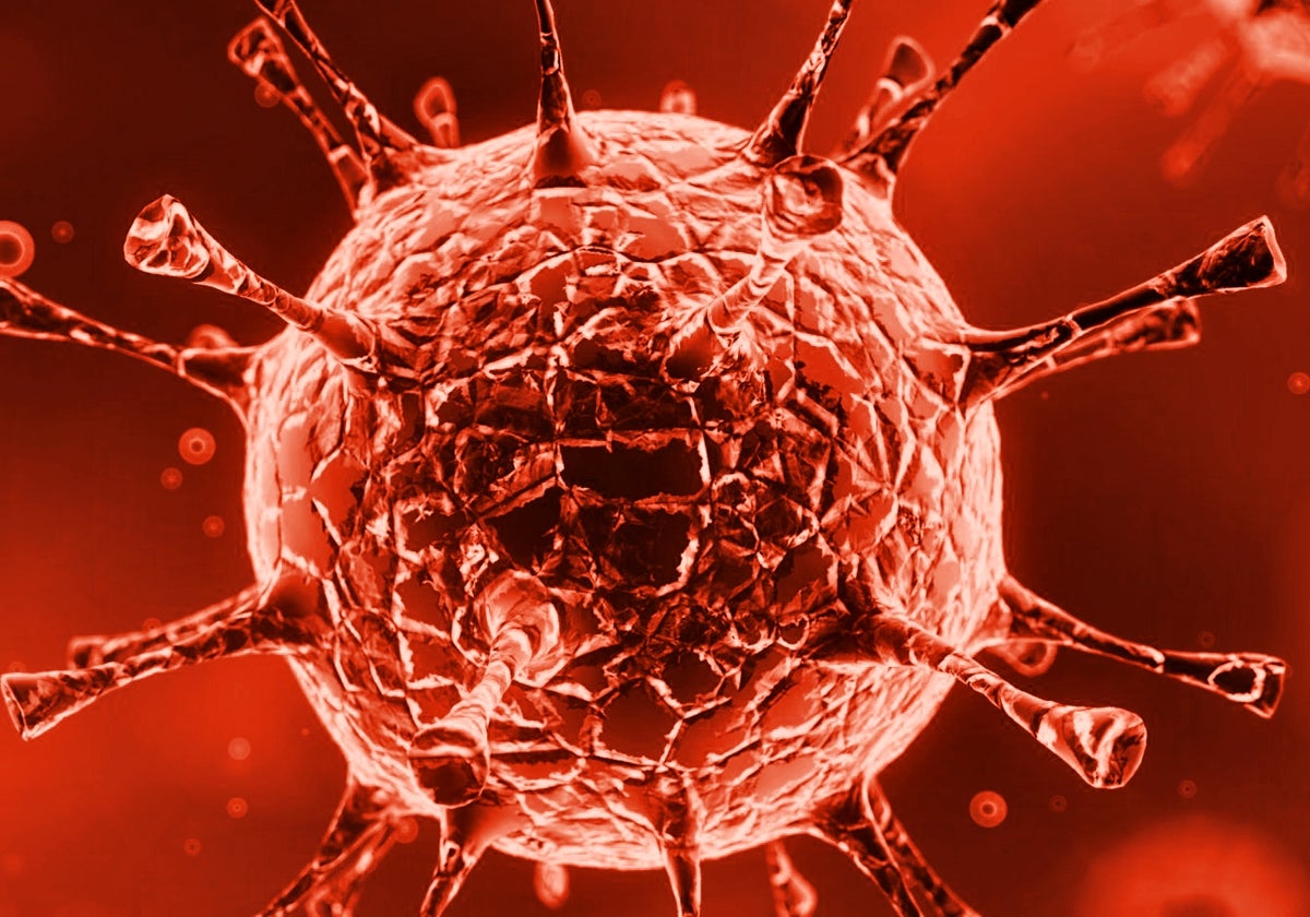 Enterovirus