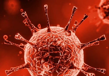 España notifica la muerte de un bebé y otro caso de un recién nacido grave por una variante virulenta de echovirus