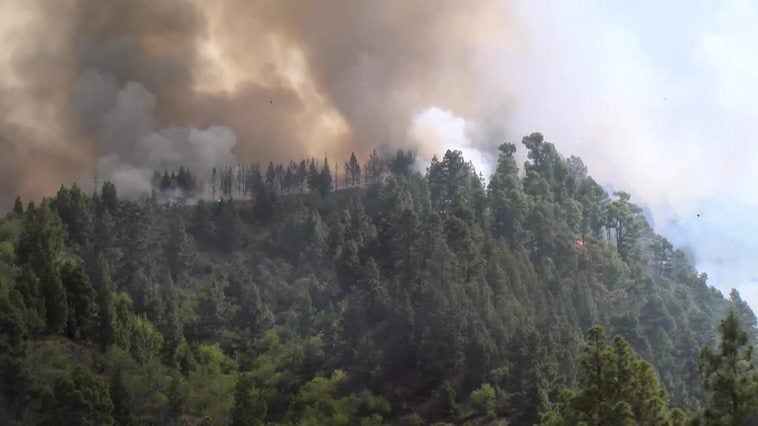 Imágenes aéreas del incendio de La Palma