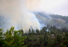 España en alerta por riesgo elevado de incendios forestales: estas son las zonas en peligro