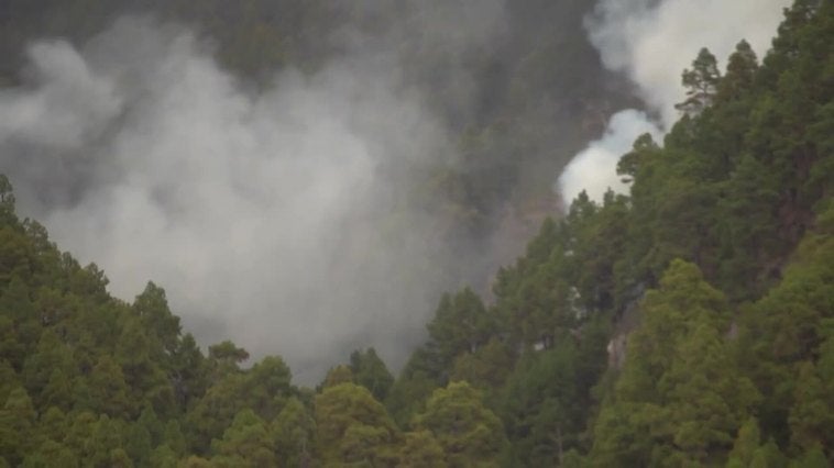 El incendio de La Palma se da por estabilizado y la superficie afectada ronda las 2.900 hectáreas