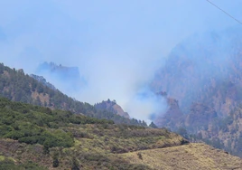 El Gobierno de Canarias da por «estabilizado» el incendio de La Palma