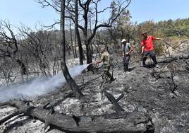 Al menos 34 muertos por los incendios forestales en Argelia