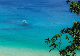 Bañarse en el paraíso: los consejos y precauciones que hay tomar antes de irse de vacaciones a destinos tropicales