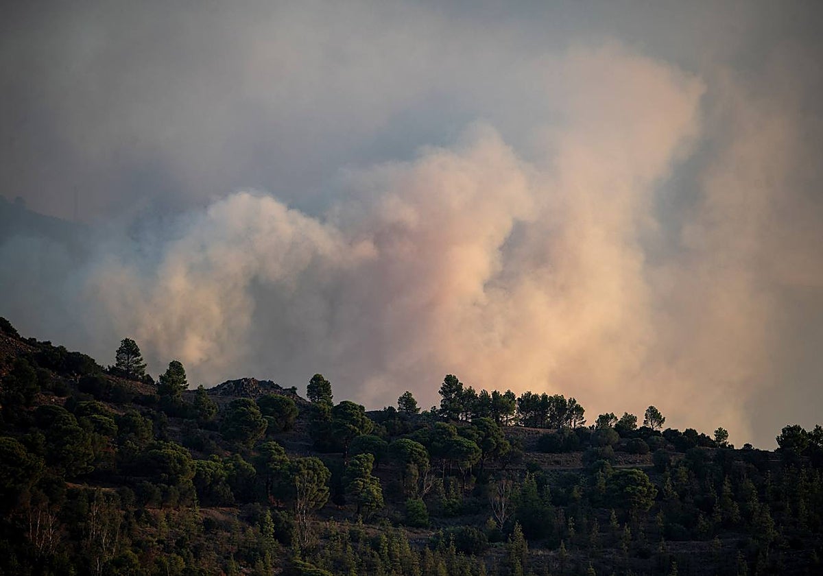 Incendio forestal que afecta a los municipios de Colera y Portbou (Girona), cerca de la frontera con Francia