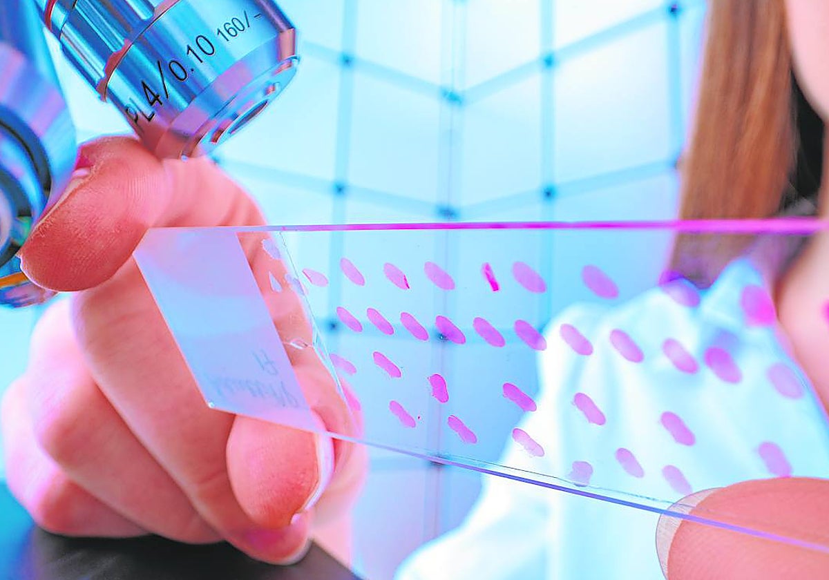 Una muestra de pruebas en un laboratorio de investigación del cáncer