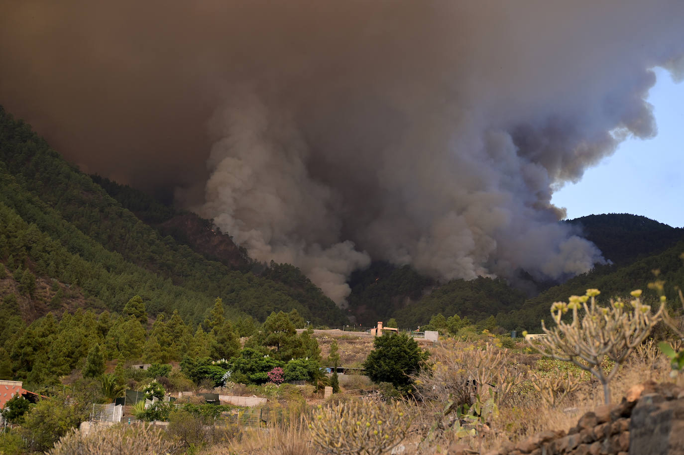 Columna de humo provocado por un incendio forestal vista desde San Cristóbal de La Laguna,