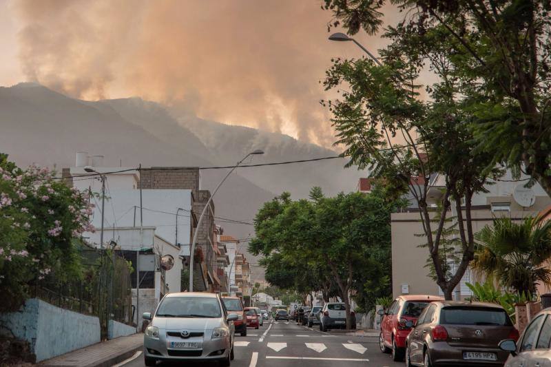 Las columnas de humo cubren el horizonte visto desde la villa de Arafo