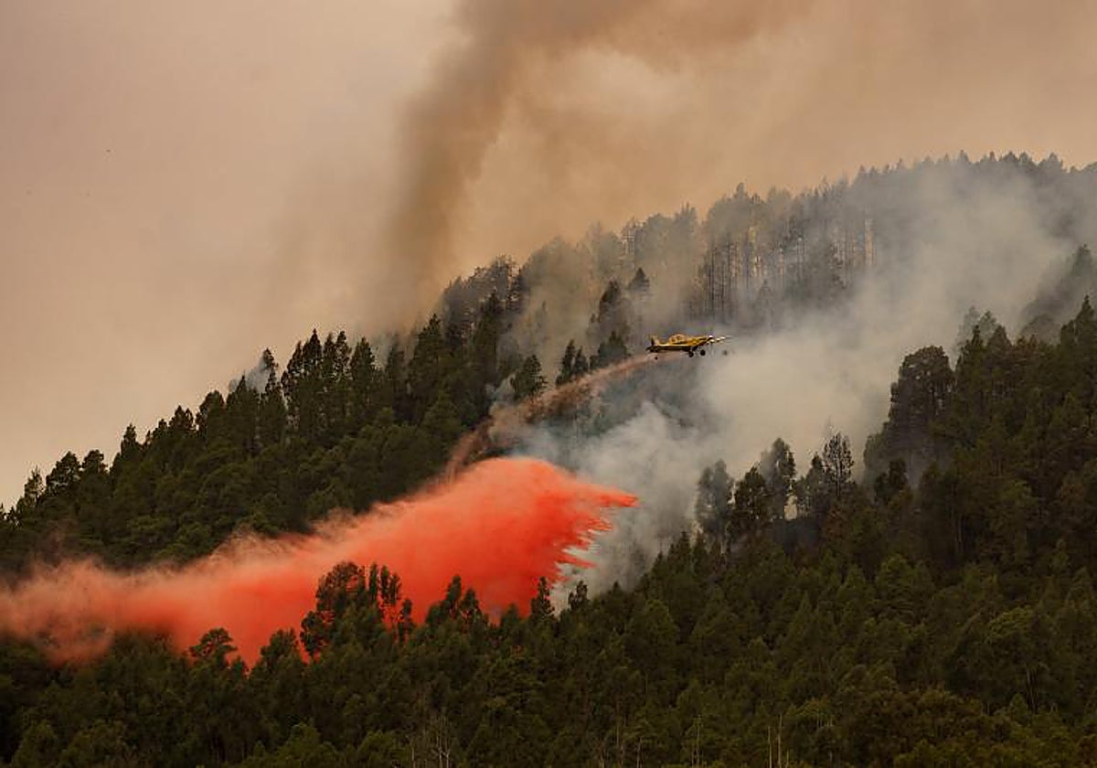 Un avión participa en las labores de extinción del incendio