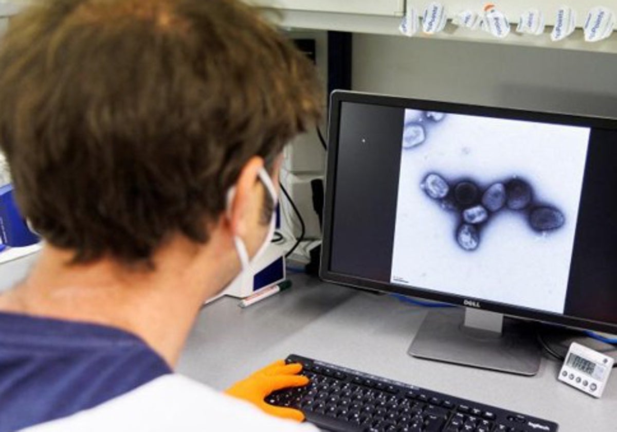 Un empleado de la compañía de vacunas Bavarian Nordic muestra una imagen de un virus de la vacuna en una pantalla en un laboratorio de la compañía en Martinsried, cerca de MÚnich, Alemania