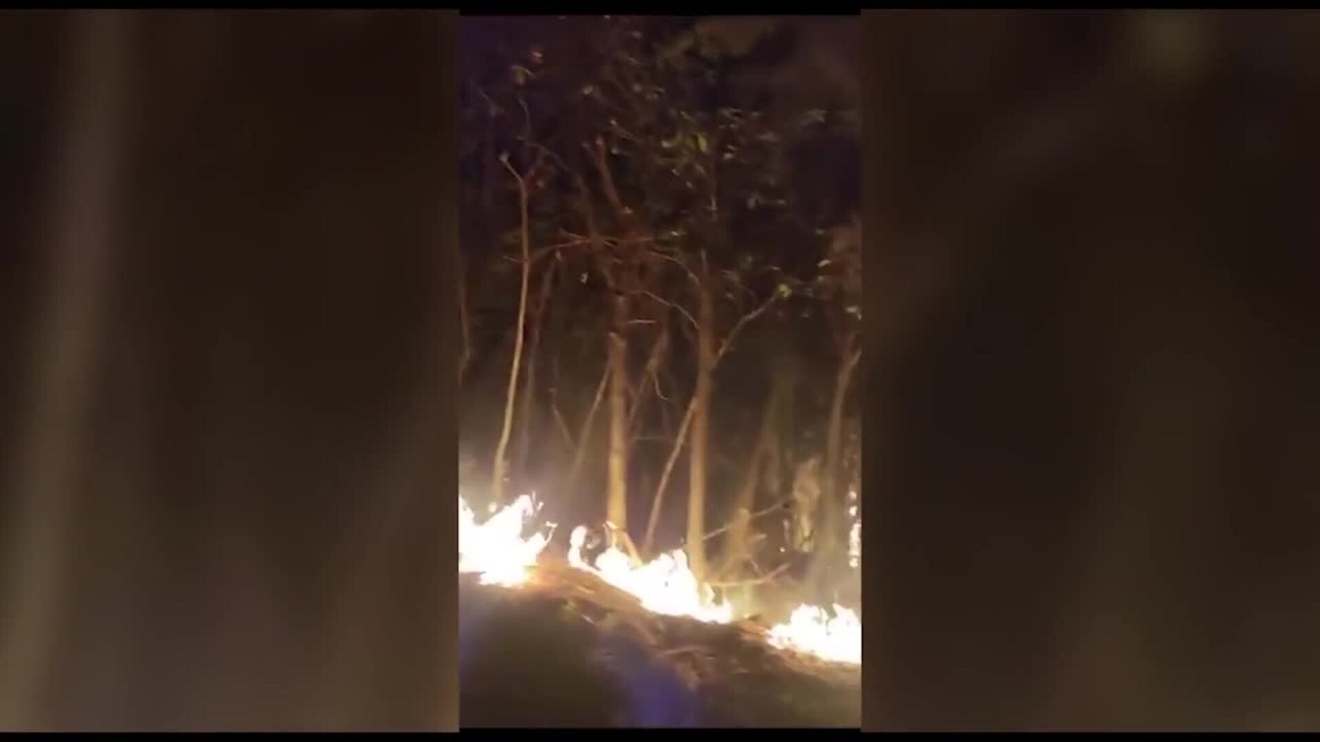 El incendio de Tenerife ya afecta a 5.000 hectáreas