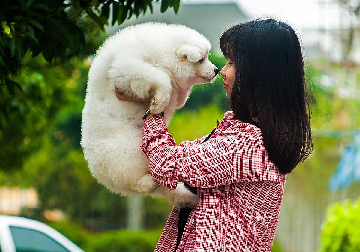 El 'pet sitting' puede ser una forma barata de viajar por el mundo