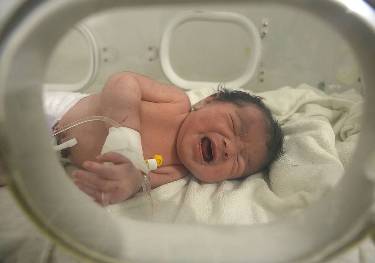 La clínica tenía un total de 14 pisos, donde estas mujeres residían, repartidos por la isla