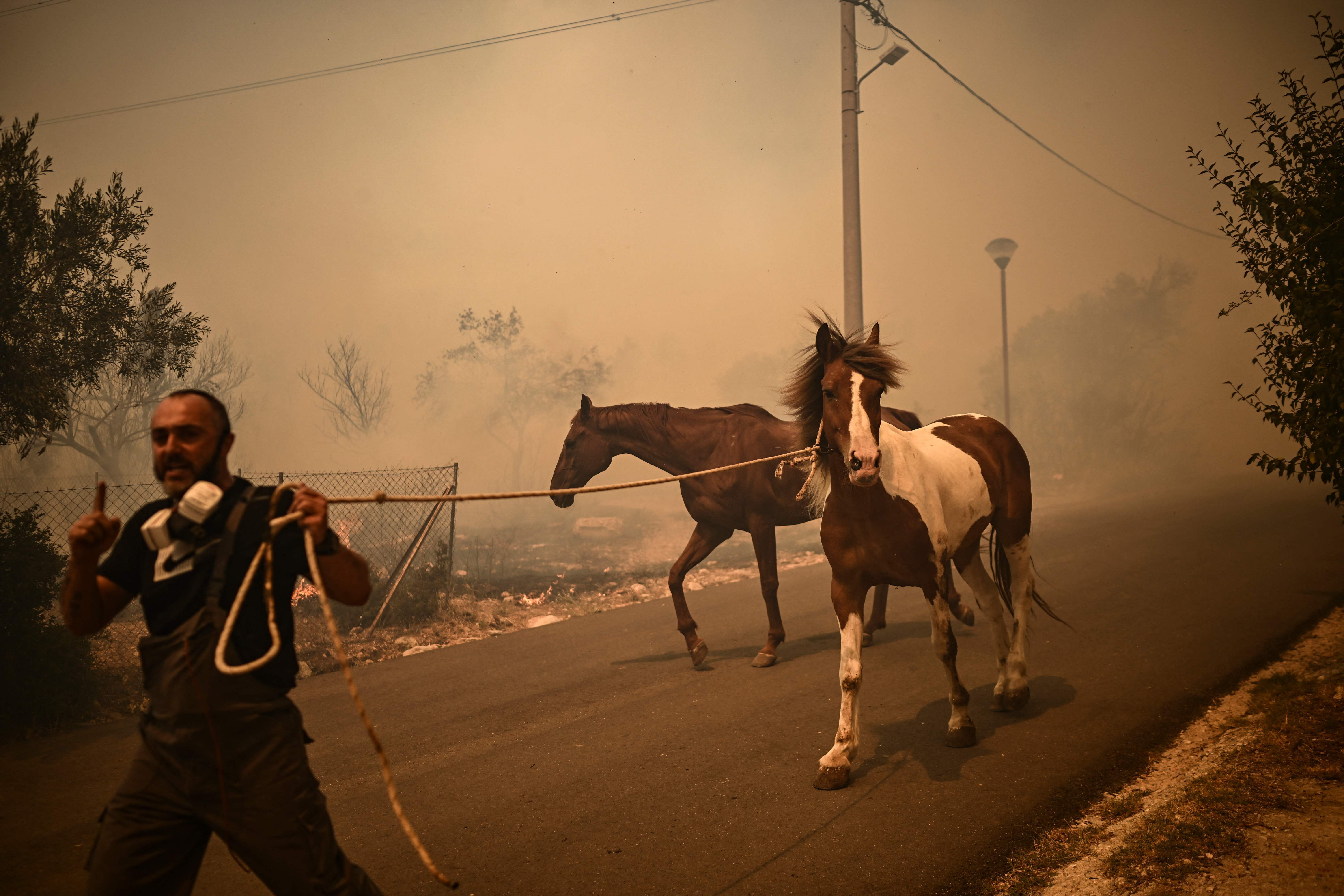 Un hombre evacua a dos caballos durante el incendio en Chasia, a las afueras de Atenas 