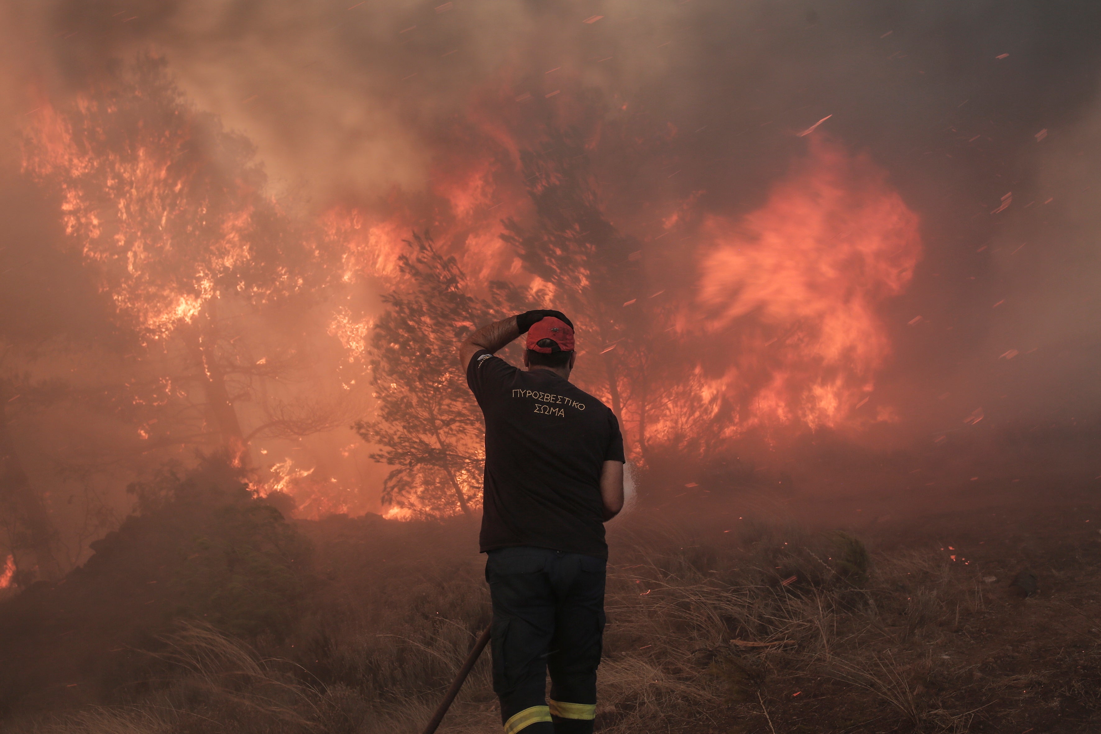 Un bombero, desolado, mirando las llamas del incendio en la zona de Fyli, cerca de Atenas 
