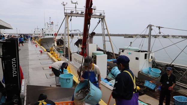 En el puerto de Soma, a unos veinte kilómetros de la central nuclear de Fukushima 1, los pescadores temen el daño por el vertido del agua tratada tras enfriar sus reactores fundidos
