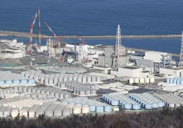 Japón descarta la contaminación de peces por el vertido nuclear de Fukushima